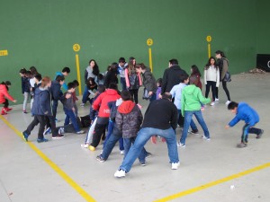 IMG_2287